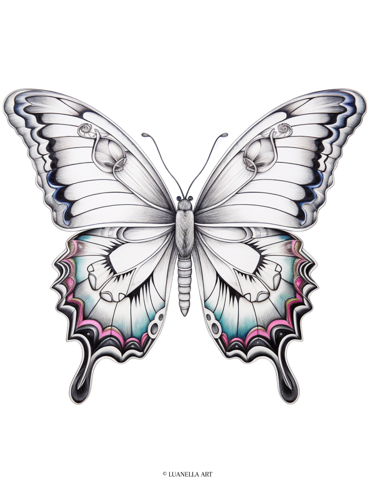 Butterfly Coloring Page |  Instant Digital Download