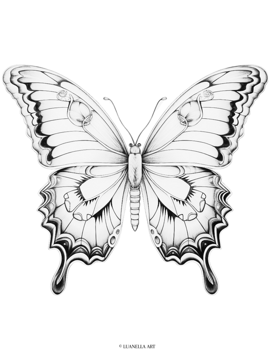 Butterfly Coloring Page |  Instant Digital Download